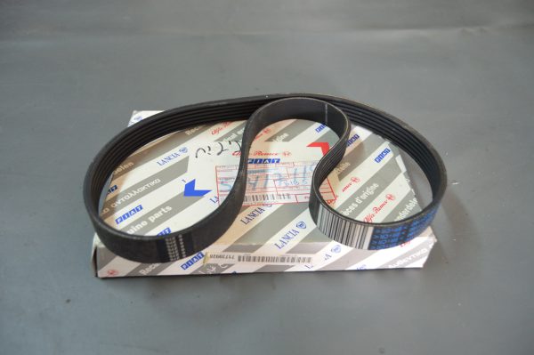 Ref. 504171190 Correia da Transmissão Fiat, Citroen, Peugeot, Audi, Ferrari, Honda, Seat, Skoda, Volkswagen NOVO